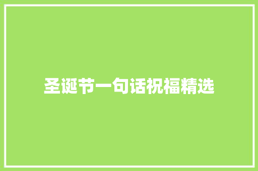 圣诞节一句话祝福精选 简历模板