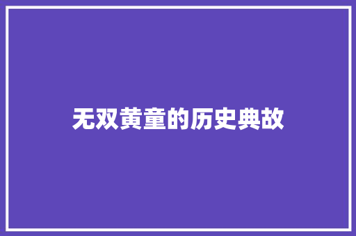 无双黄童的历史典故 报告写作