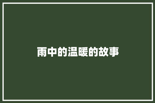 雨中的温暖的故事 词汇积累