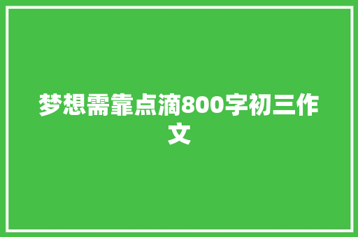 梦想需靠点滴800字初三作文 词汇积累