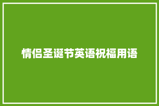 情侣圣诞节英语祝福用语