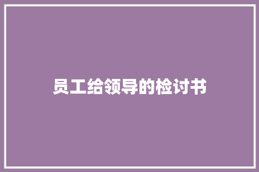 员工给领导的检讨书 简历模板