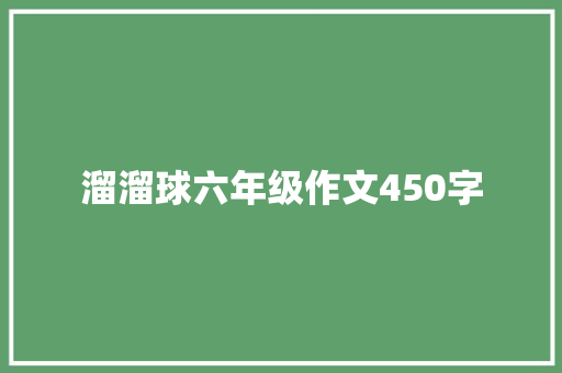 溜溜球六年级作文450字
