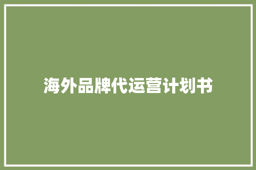 海外品牌代运营计划书 写作社区