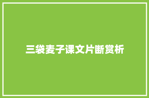 三袋麦子课文片断赏析