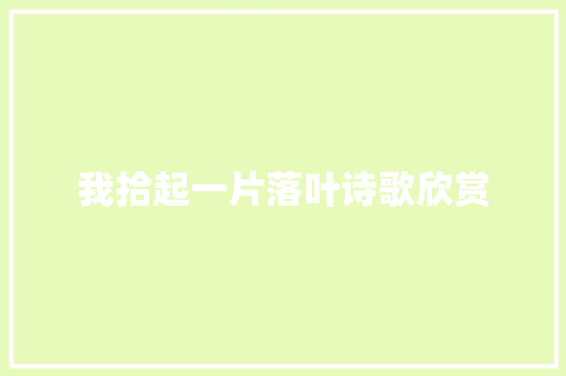 我拾起一片落叶诗歌欣赏 报告写作