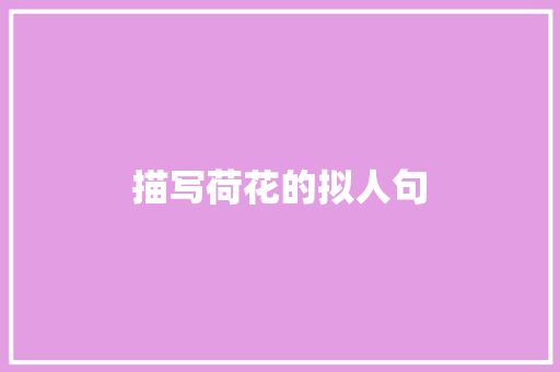 描写荷花的拟人句