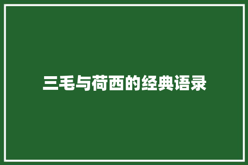 三毛与荷西的经典语录 写作素材