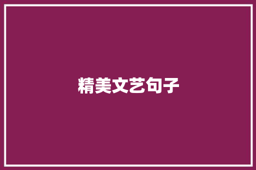 精美文艺句子 写作素材
