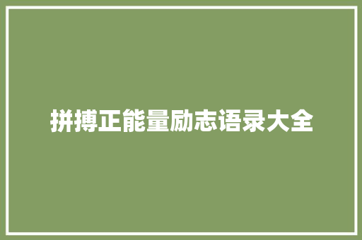 拼搏正能量励志语录大全 词汇积累