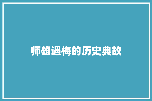 师雄遇梅的历史典故 词汇积累