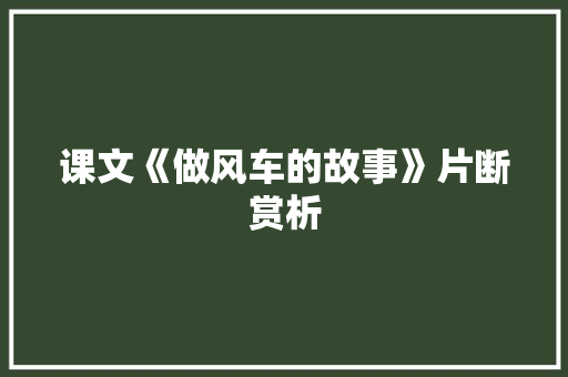 课文《做风车的故事》片断赏析 报告写作