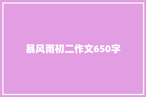 暴风雨初二作文650字