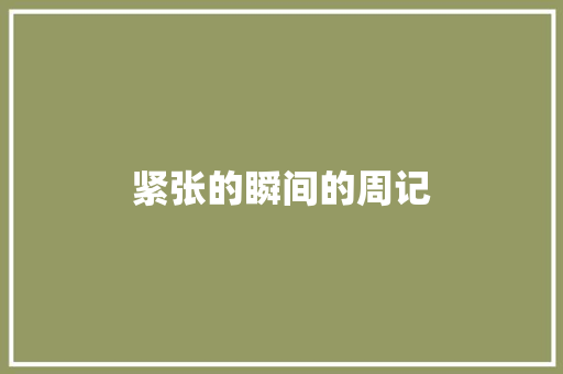 紧张的瞬间的周记 诗歌创作
