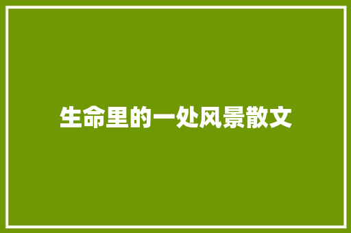 生命里的一处风景散文 写作技巧