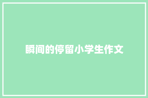 瞬间的停留小学生作文 简历模板