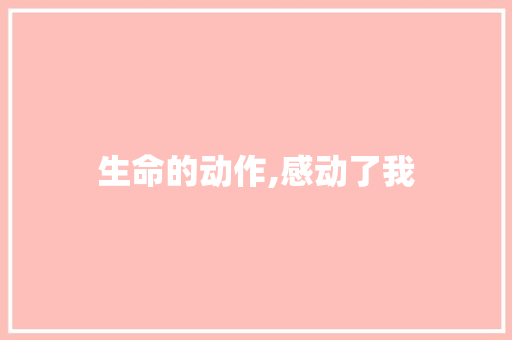 生命的动作,感动了我