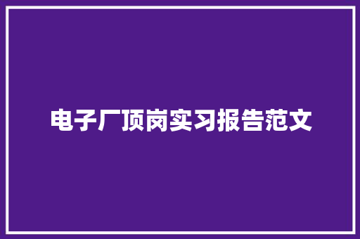 电子厂顶岗实习报告范文 报告写作