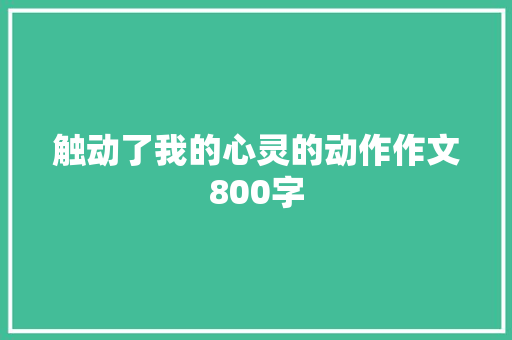 触动了我的心灵的动作作文800字