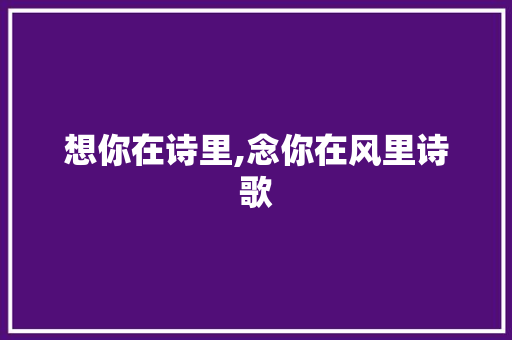 想你在诗里,念你在风里诗歌 报告写作