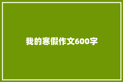 我的寒假作文600字 商业文案