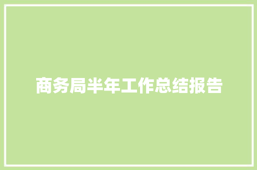 商务局半年工作总结报告 简历模板