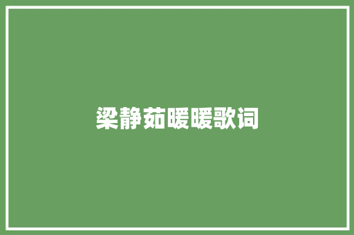 梁静茹暖暖歌词 简历模板