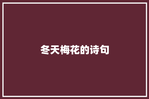 冬天梅花的诗句 商业文案