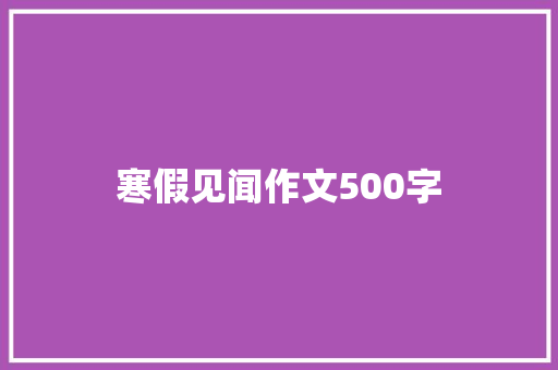 寒假见闻作文500字