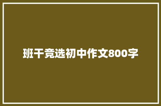 班干竞选初中作文800字 写作素材