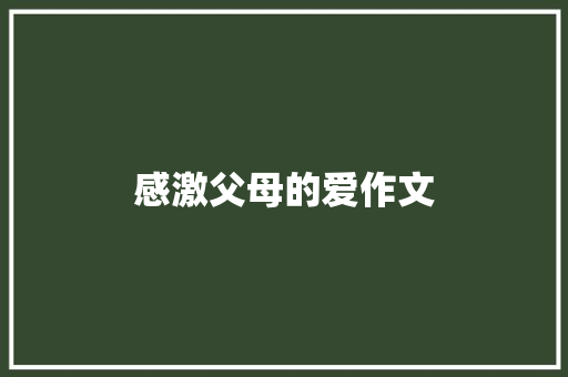 感激父母的爱作文 简历模板