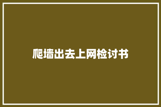 爬墙出去上网检讨书