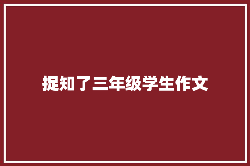 捉知了三年级学生作文 商业文案