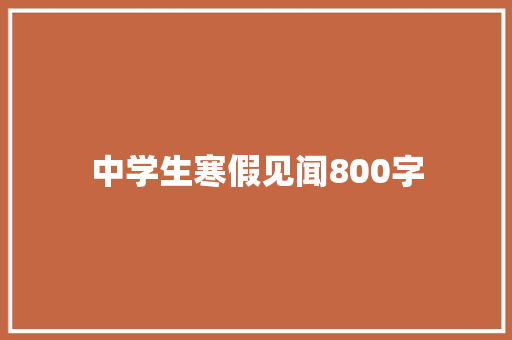 中学生寒假见闻800字 写作技巧