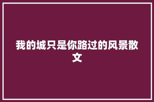 我的城只是你路过的风景散文 报告写作