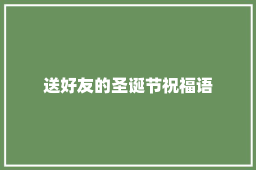 送好友的圣诞节祝福语 商业文案