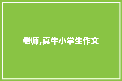 老师,真牛小学生作文 写作社区