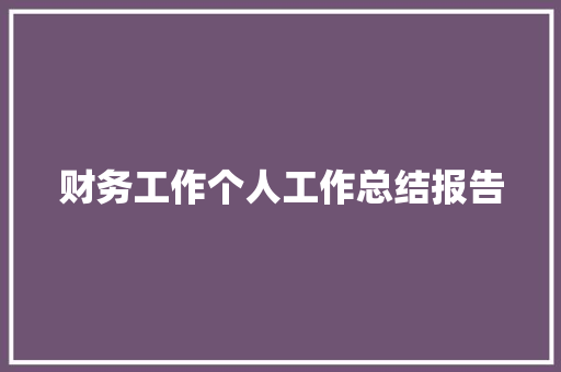 财务工作个人工作总结报告