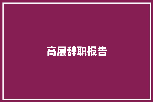 高层辞职报告 词汇积累