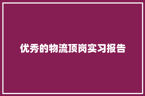 优秀的物流顶岗实习报告 范文赏析