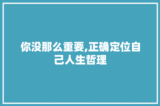 你没那么重要,正确定位自己人生哲理 简历模板