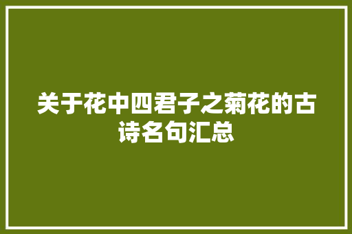 关于花中四君子之菊花的古诗名句汇总 写作社区
