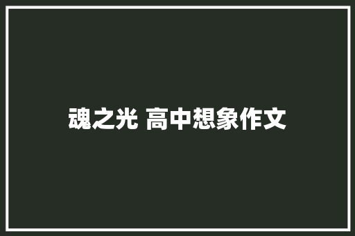 魂之光 高中想象作文 词汇积累