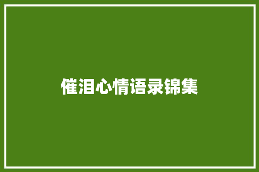 催泪心情语录锦集 报告写作