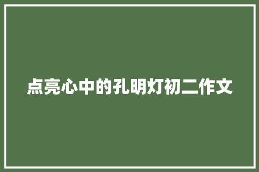 点亮心中的孔明灯初二作文 报告写作
