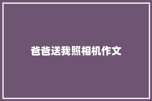 爸爸送我照相机作文