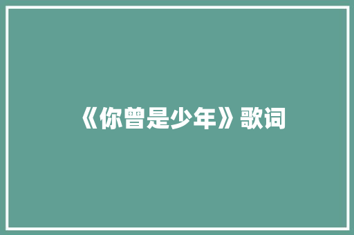 《你曾是少年》歌词