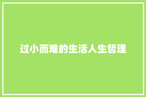 过小而难的生活人生哲理 报告写作