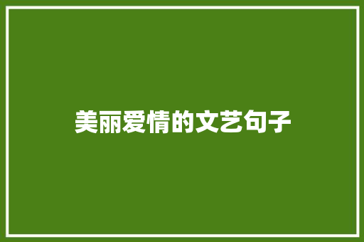 美丽爱情的文艺句子
