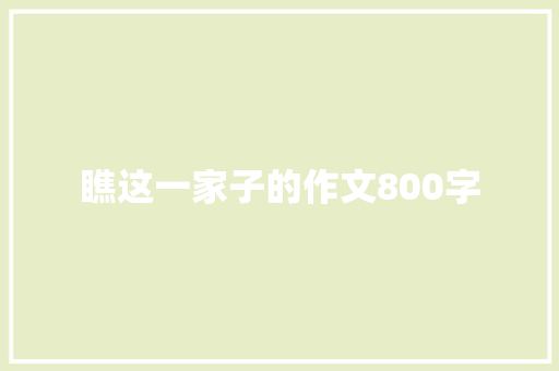 瞧这一家子的作文800字